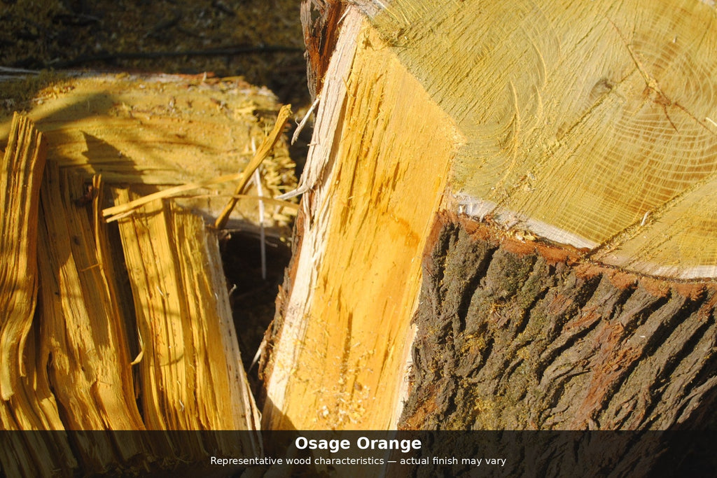 Osage Orange — representative wood characteristics